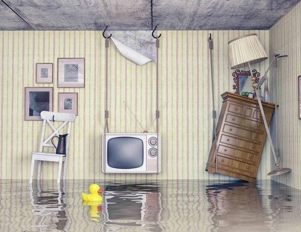 Pussy floods living room image